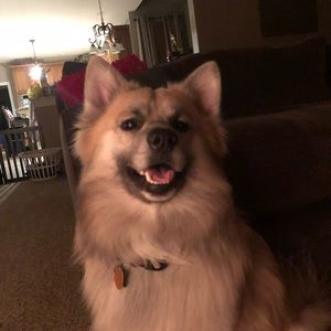 Meet your Posher, Maria